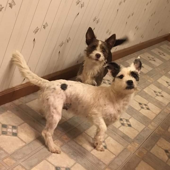 "MendyLew'sMadness" - Picture 5 of 10